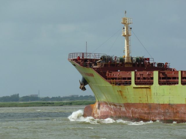 Bulbe Edgar Lehmann - 29 juin 2012 (02).JPG